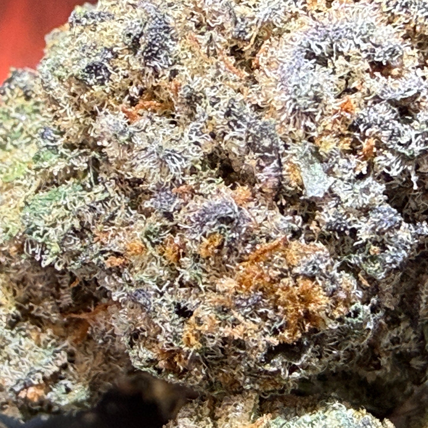 University - Zaagen Dazs THCA Exotic Hemp Flower (3.5g)