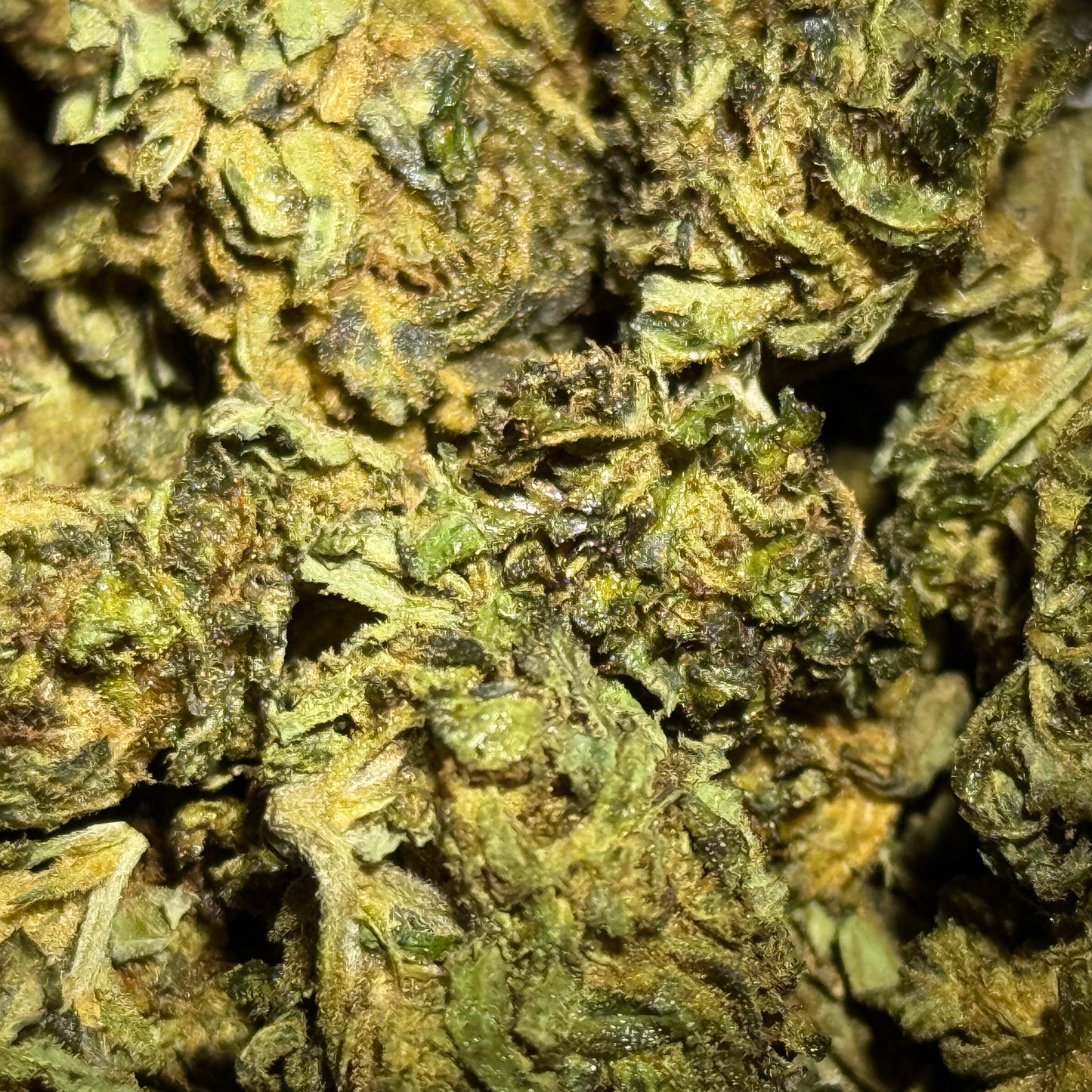 Penn's Reserve - Bubba Glue THCA Hemp Flower